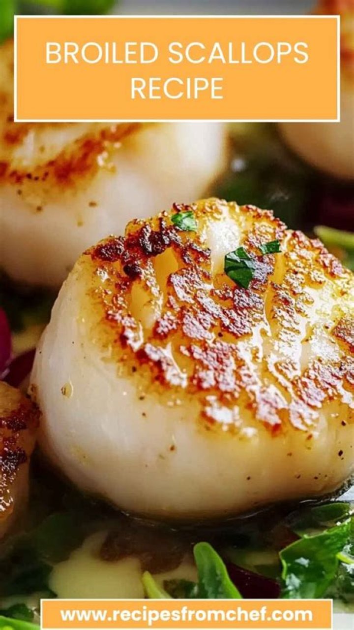 Are broiled scallops healthy?