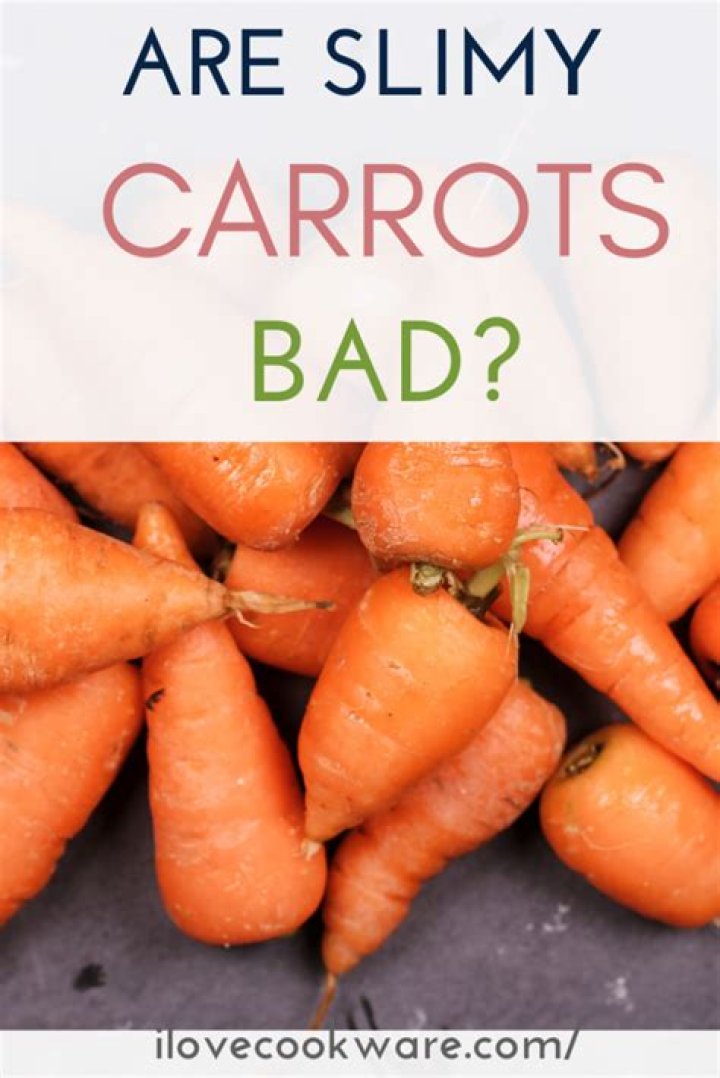 Are carrots bad for cats?