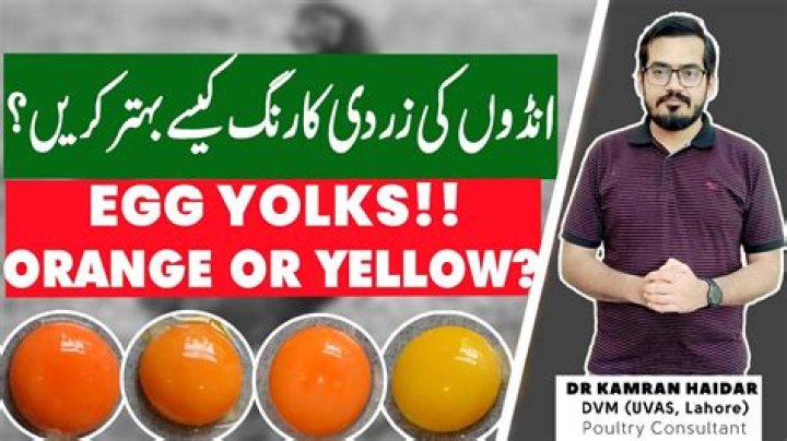 Are darker yolks healthier?
