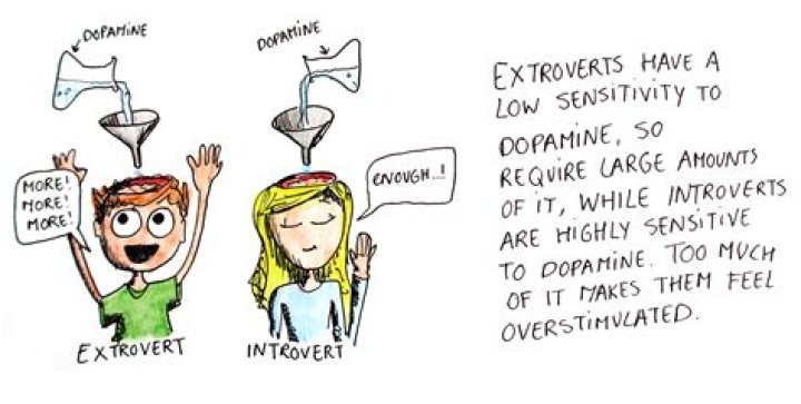 Are introverts more sensitive to dopamine?