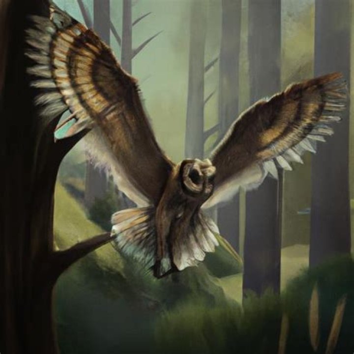 Are owls afraid of light?