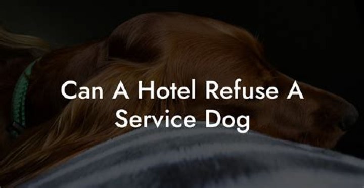 Can a hotel refuse a service dog UK?