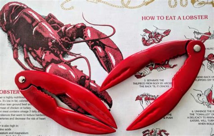 Can a lobster eat a lobster?