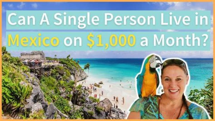 Can a single person live on 65000 a year?