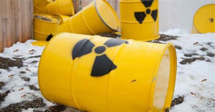 Can ants survive a nuclear bomb?