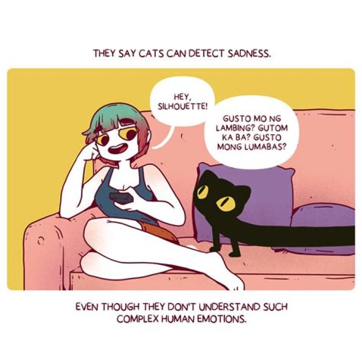 Can cats detect sadness in humans?