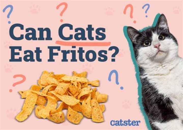 Can cats eat Fritos?