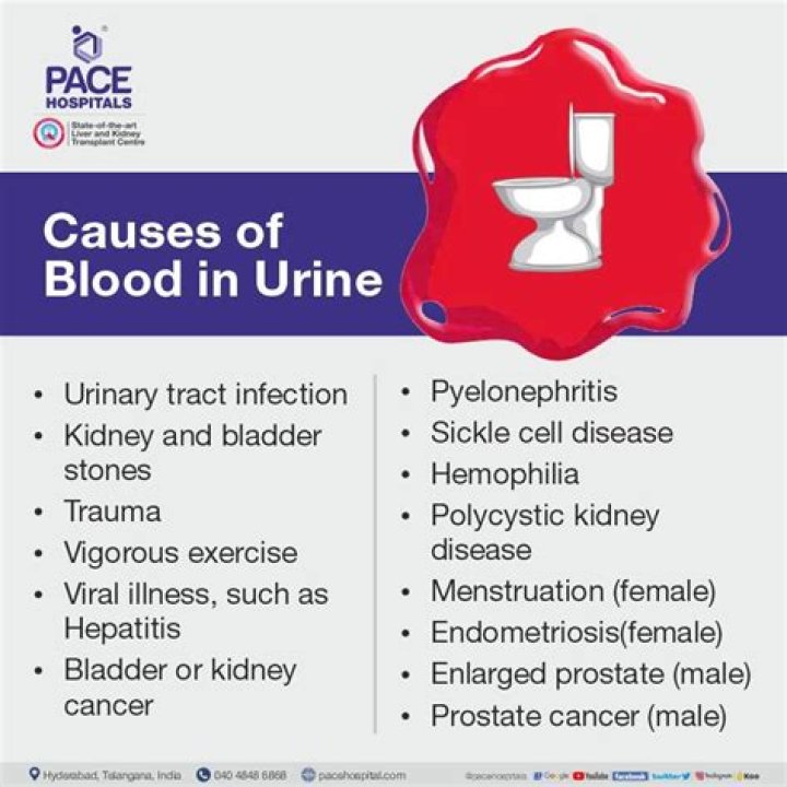 Can dehydration cause blood in urine?