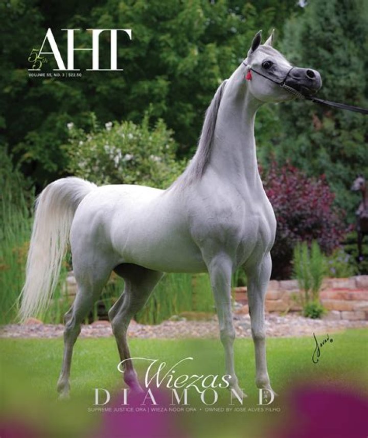 Can dogs be around horses?