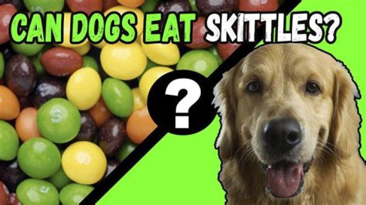 Can dogs eat Skittles?
