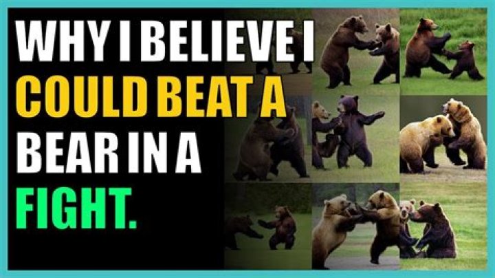 Can I beat a bear in a fight?
