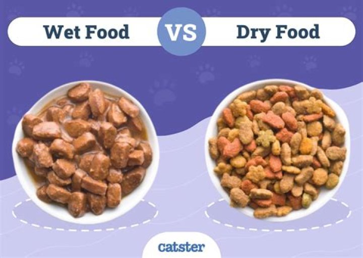 Can I mix wet and dry dog food?