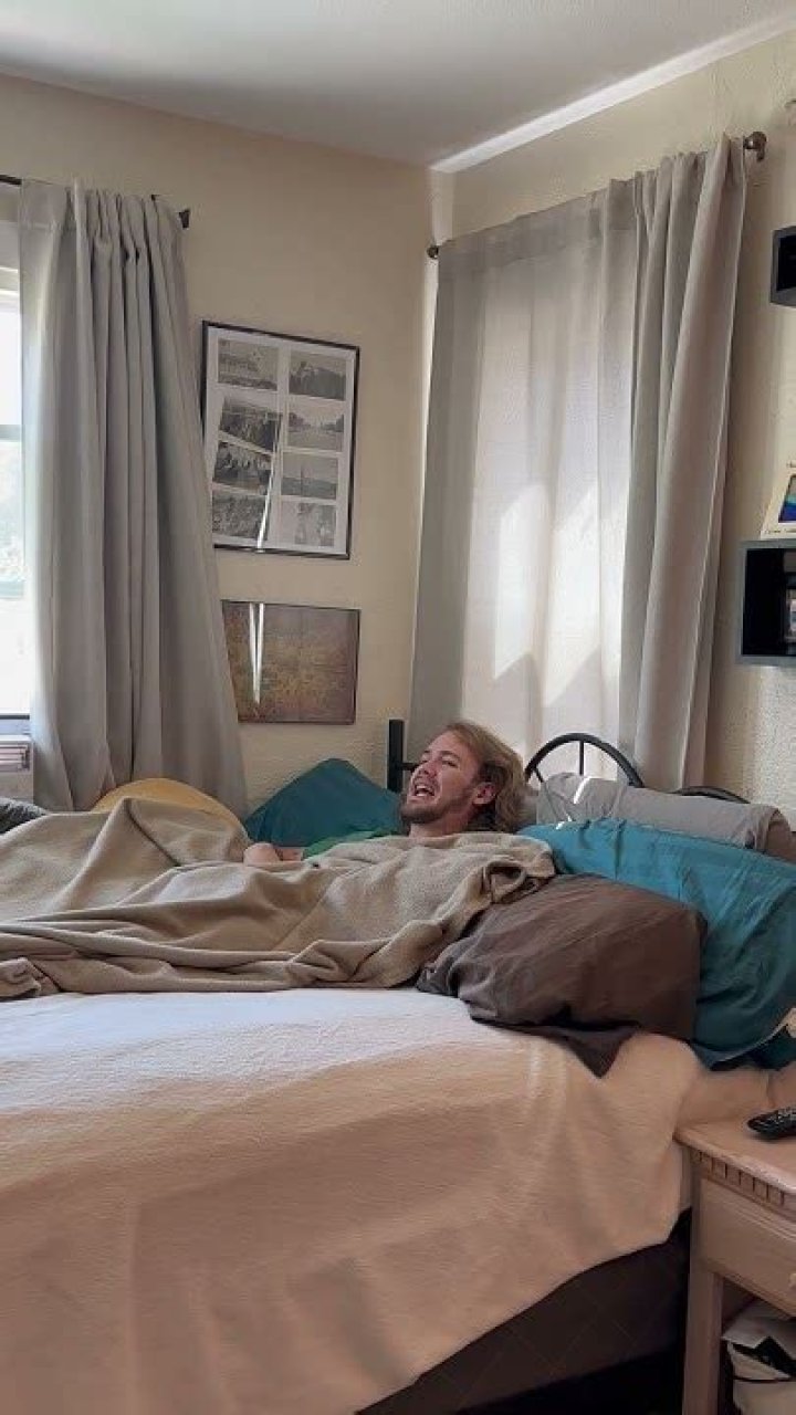 Can I scream at my cat?