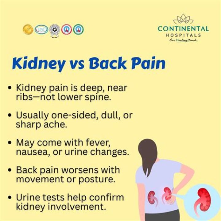 Can kidney pain be felt in lower abdomen?