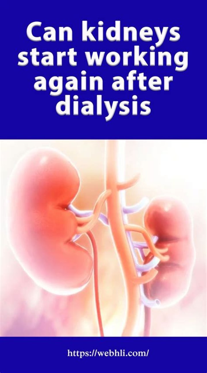 Can kidneys start working again after dialysis?