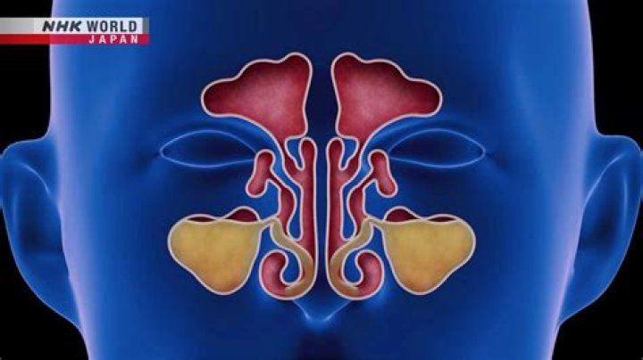 Can low iron cause stuffy nose?