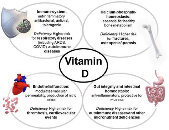 Can low vitamin D cause low pulse?