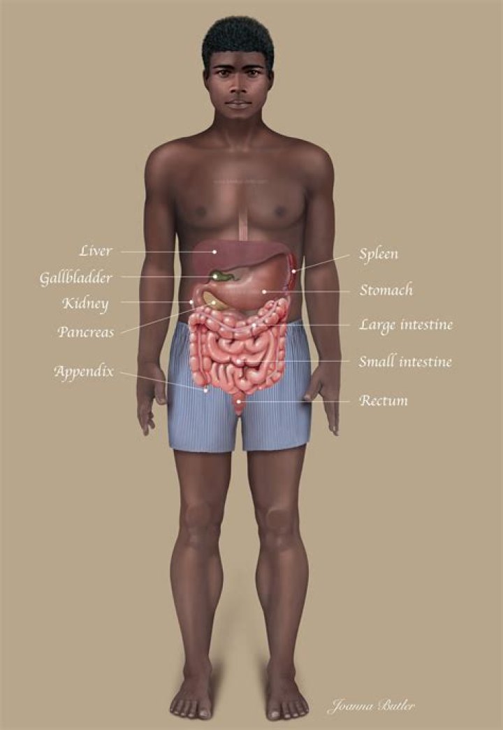 Can men physically belly dance?