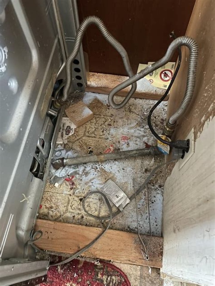 Can mice climb inside drain pipes?