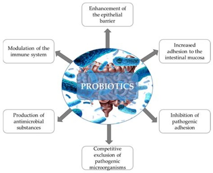 Can probiotics have negative effects?