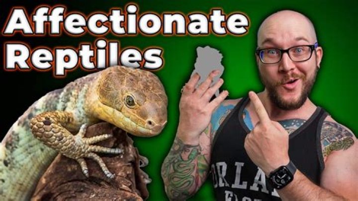 Can reptiles feel pleasure?