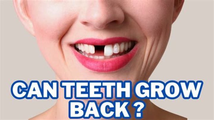 Can teeth grow after 18?
