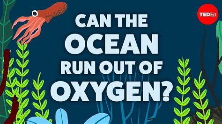Can the ocean run out of oxygen?