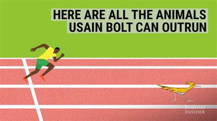 Can Usain Bolt outrun a bear?