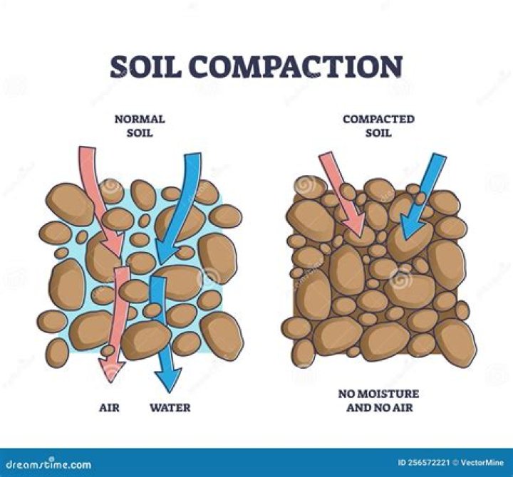 Can water penetrate compacted soil?