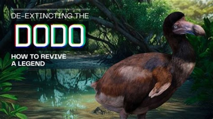 Can we clone the dodo?