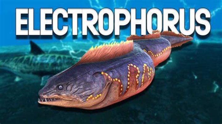 Can you breed fish in Ark?
