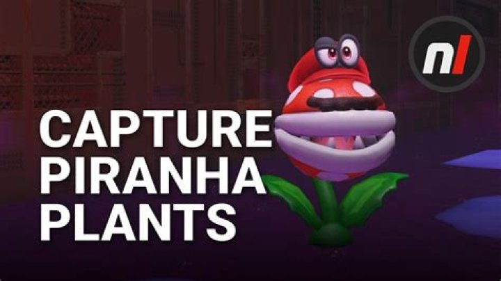 Can you capture Piranha Plant?