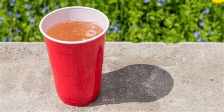 Can you dishwash red Solo cups?