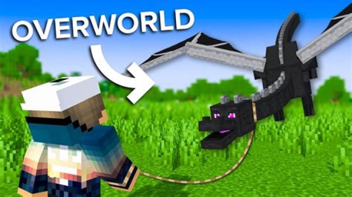 Can you feed the Ender dragon?