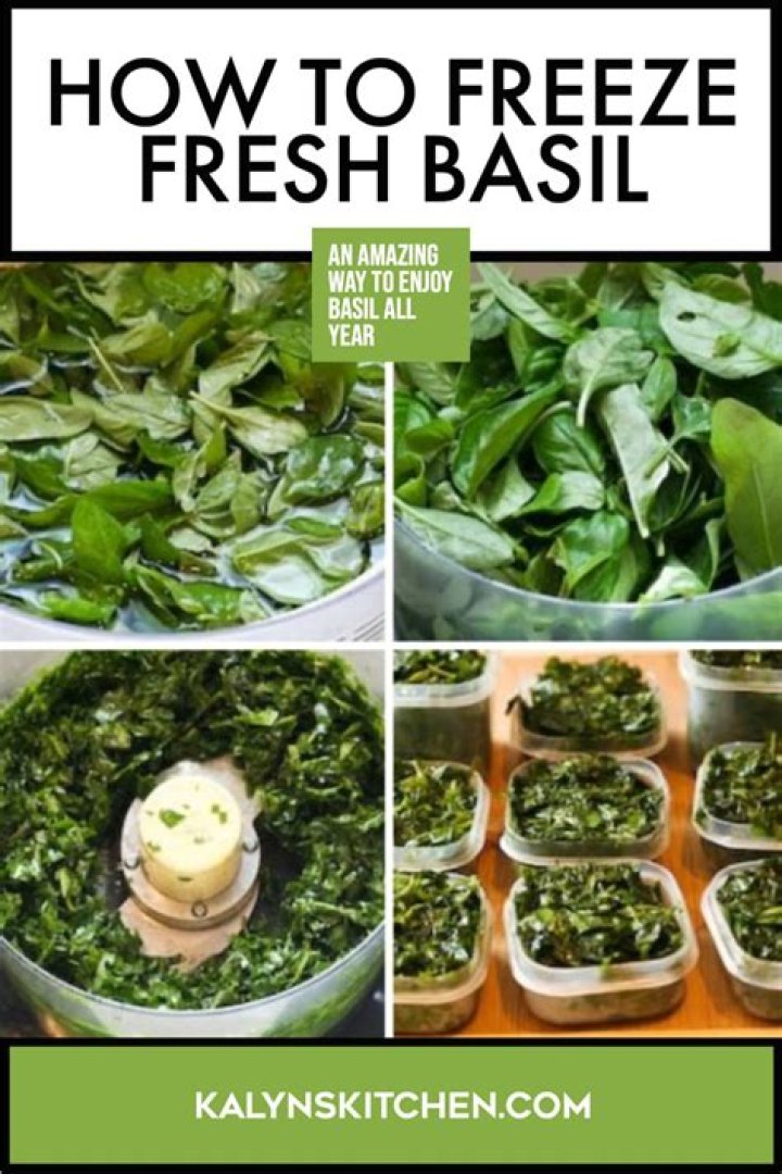 Can you freeze basil?