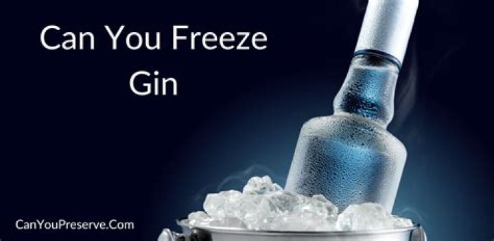 Can you freeze gin and tonic?