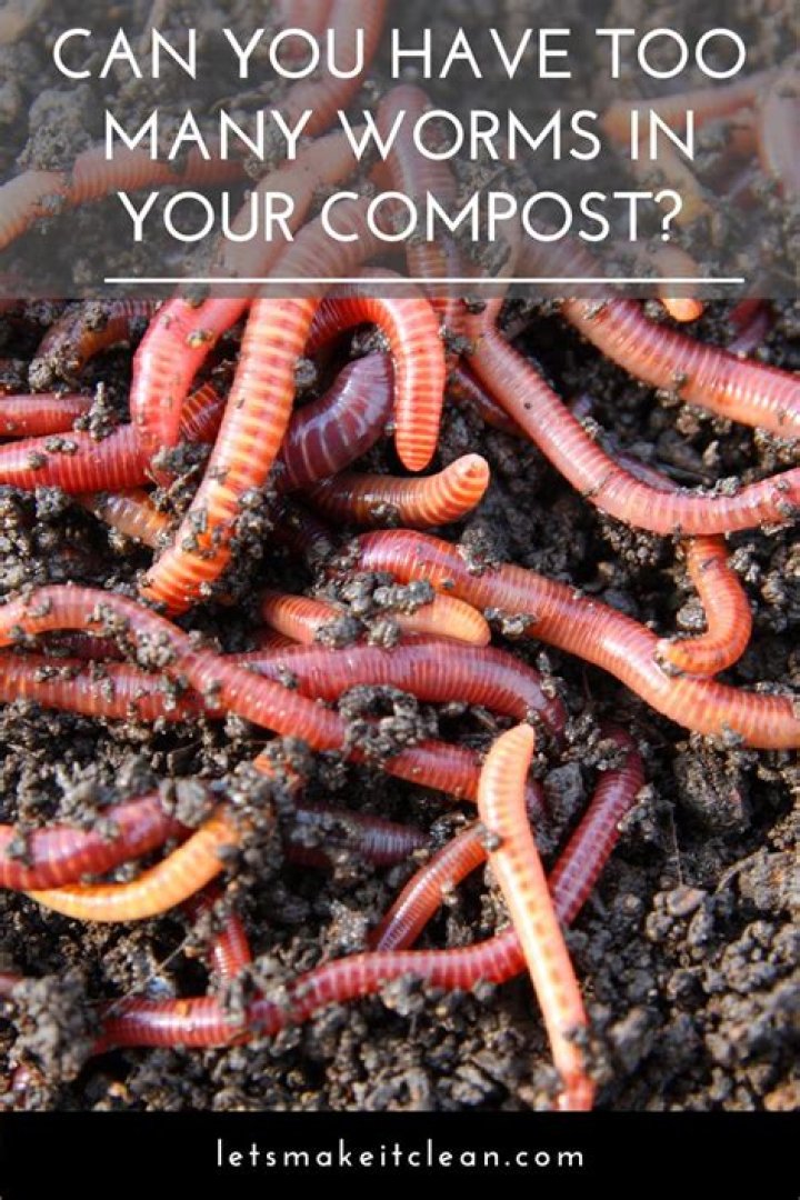 Can you have too many worms in a garden?