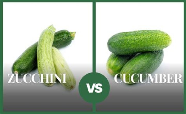 Can you plant basil next to zucchini?
