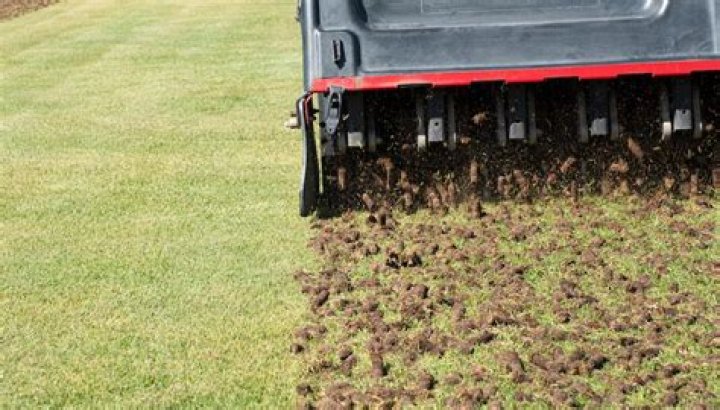 Can you plug aerate too much?
