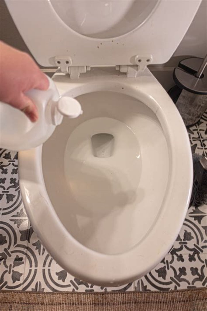 Can you put vinegar in toilet bowl?