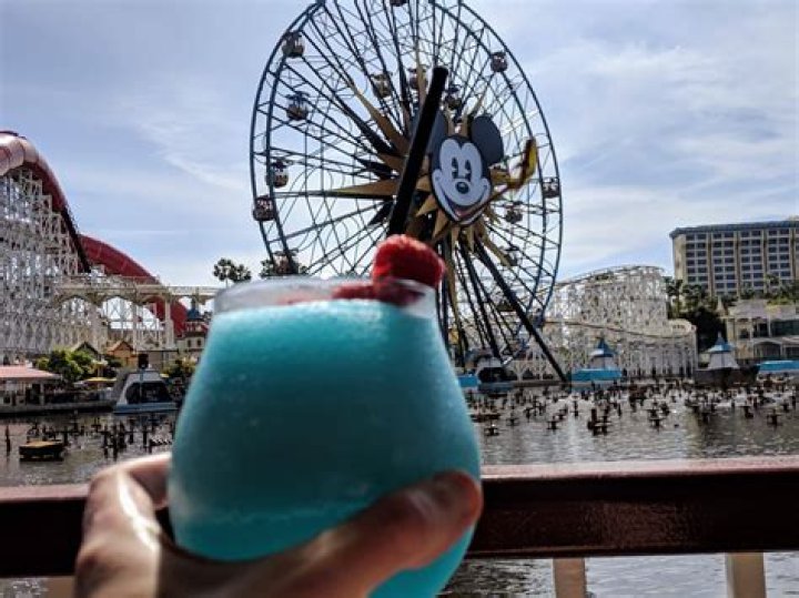 Can you sneak alcohol into Disneyland?
