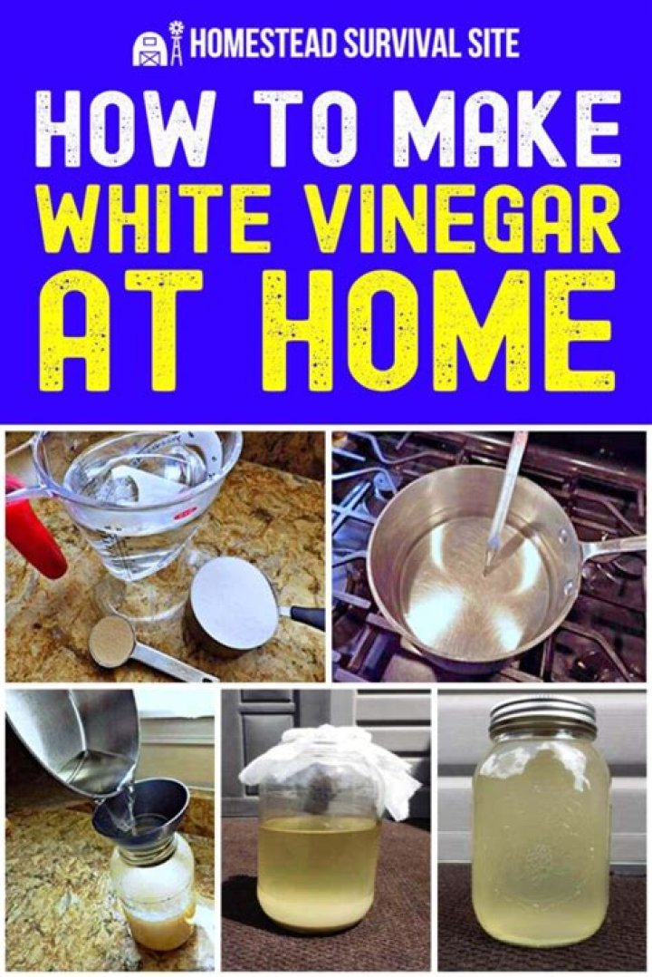 Can you use white vinegar on horses?