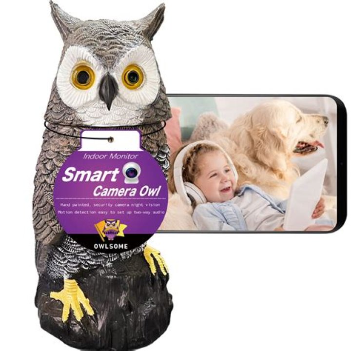 Can you watch owlet camera from anywhere?