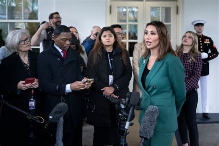 Did Alina erase her scar?