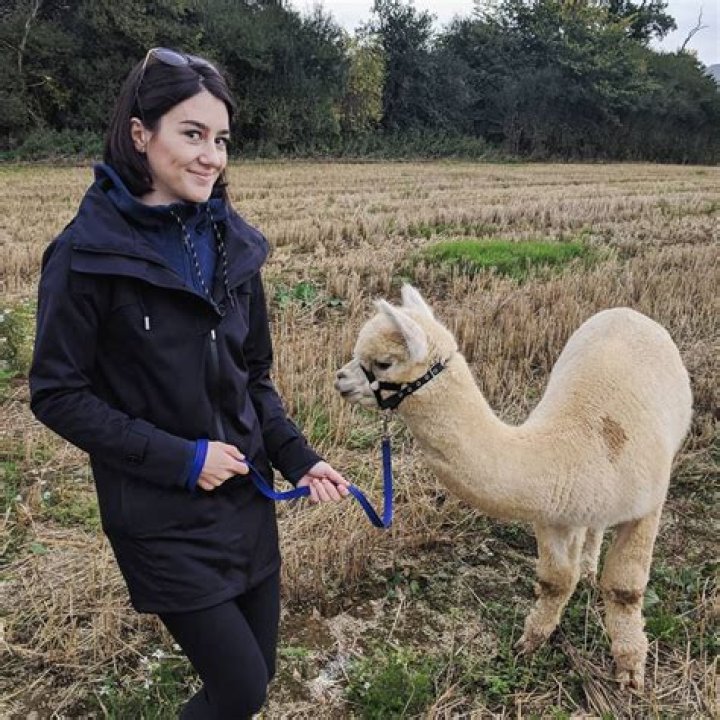 Do animals like music?