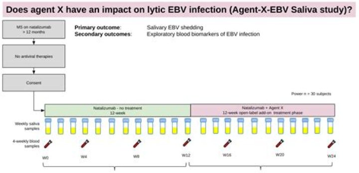 Do antivirals work for EBV?