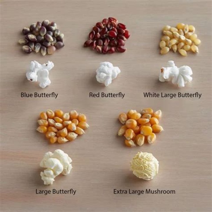 Do different varieties of popcorn taste different?