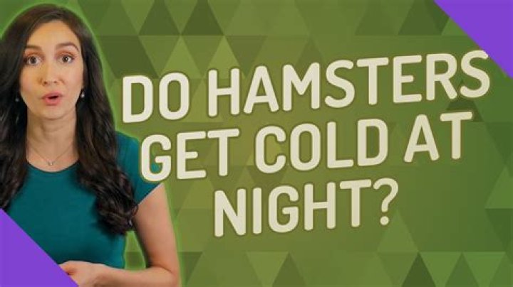 Do hamsters get cold at night?