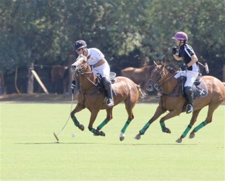 Do horses enjoy polo?