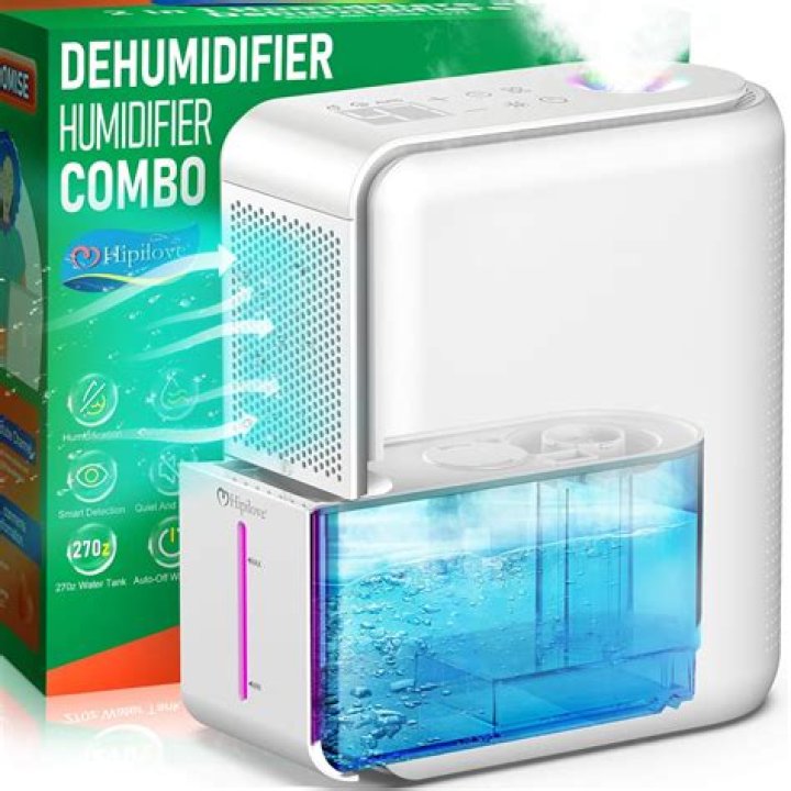 Do I need a dehumidifier or a humidifier in winter?